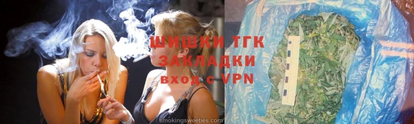 гидра Арсеньев