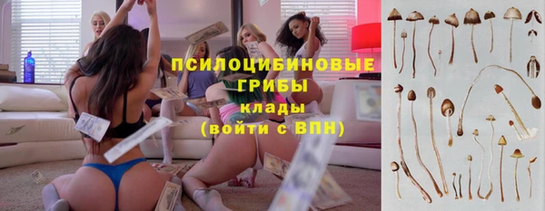 гидра Арсеньев