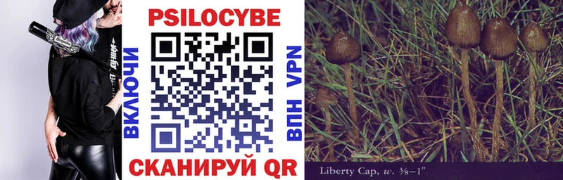 Псилоцибиновые грибы Psilocybine cubensis  Кубинка 
